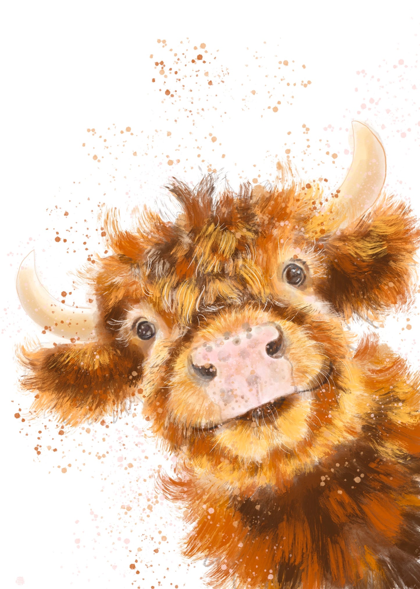 Friendly Highland Cow