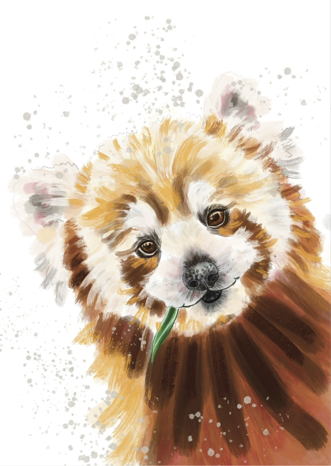 A3 Red panda