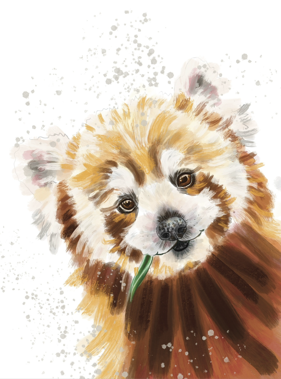 A4 Red Panda Print