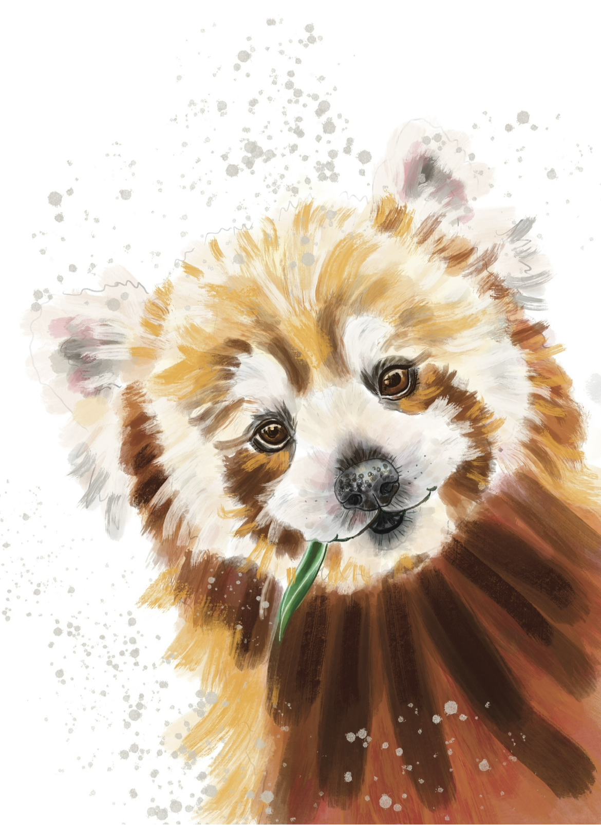 A4 Red Panda Print