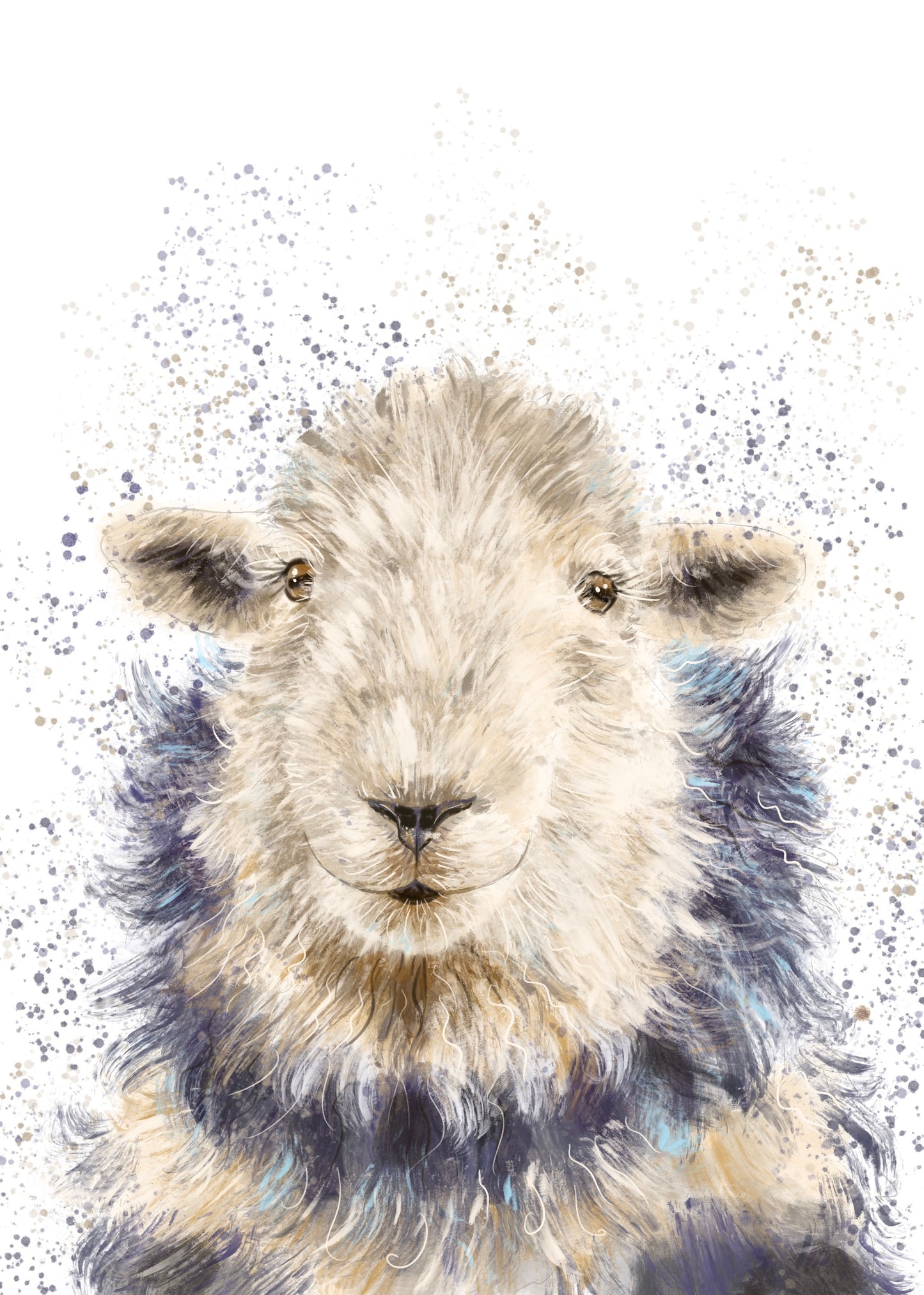 A4 Herdwick Sheep print