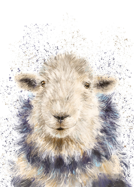 A3 Herdwick Sheep