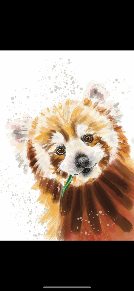 A4 Red Panda Print