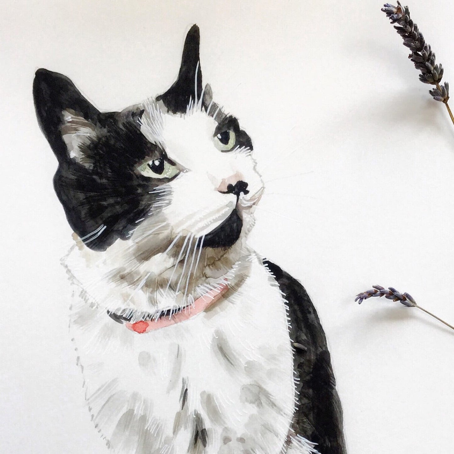 Custom cat portrait painting, commission from photo cat watercolour, hand painted pet portrait for cat lovers!