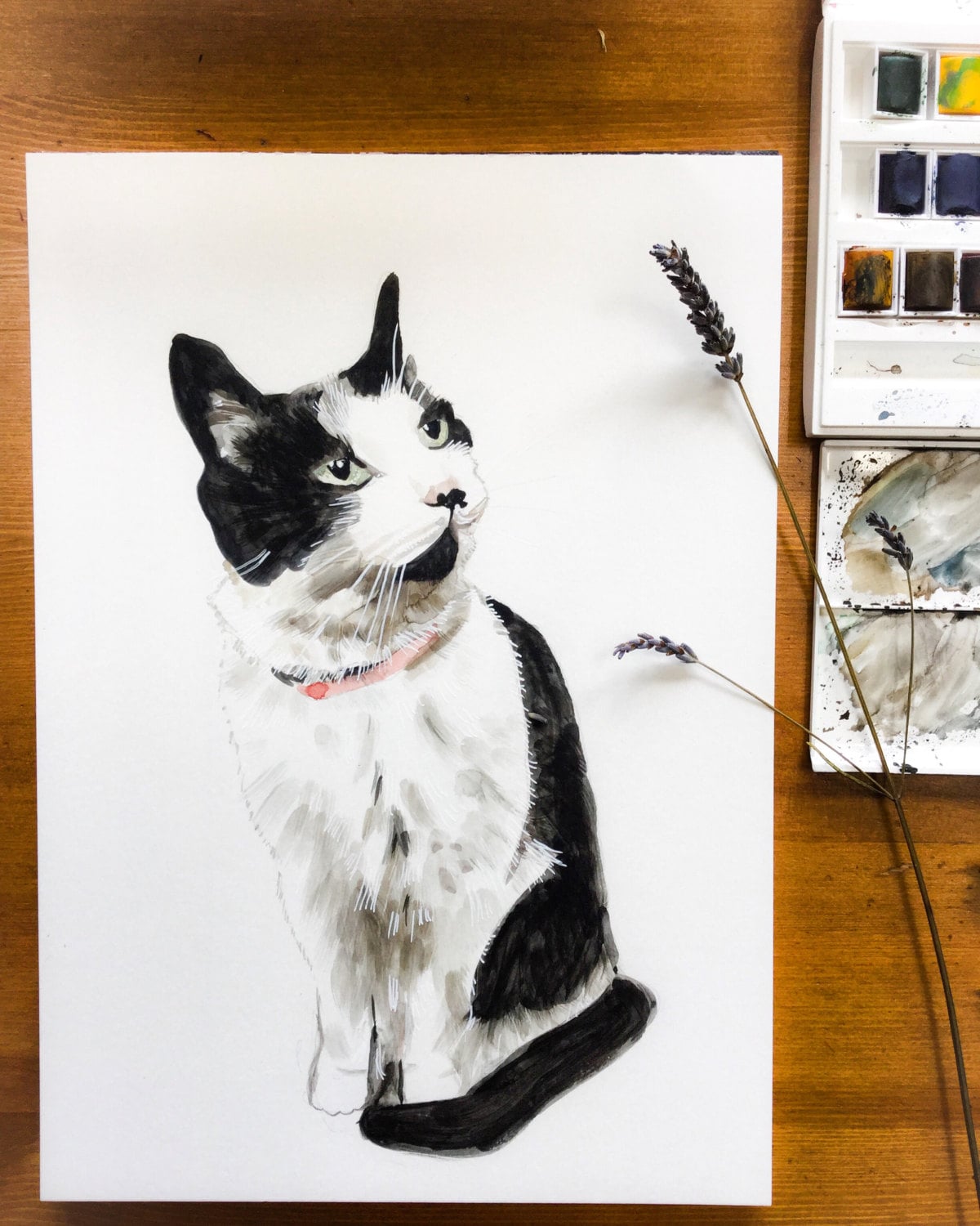 Custom cat portrait painting, commission from photo cat watercolour, hand painted pet portrait for cat lovers!