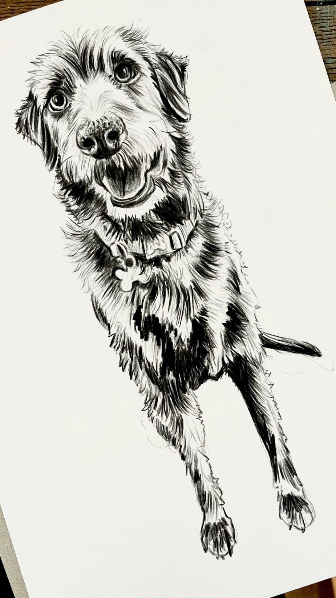 Custom Pet Portraits by Helen  Pet Paintings  Pet Art  Pet merch